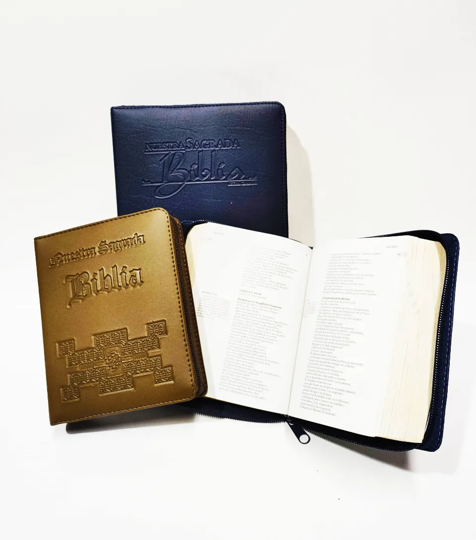Biblia, diseño 2